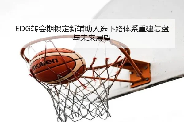 EDG转会期锁定新辅助人选下路体系重建复盘与未来展望